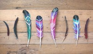 Finding Feathers? Different Colours Carry Different Messages