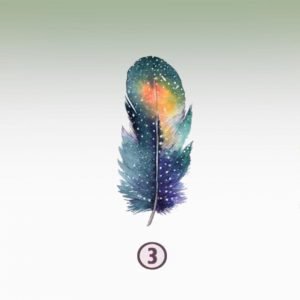 Feather 3 - INTUITO