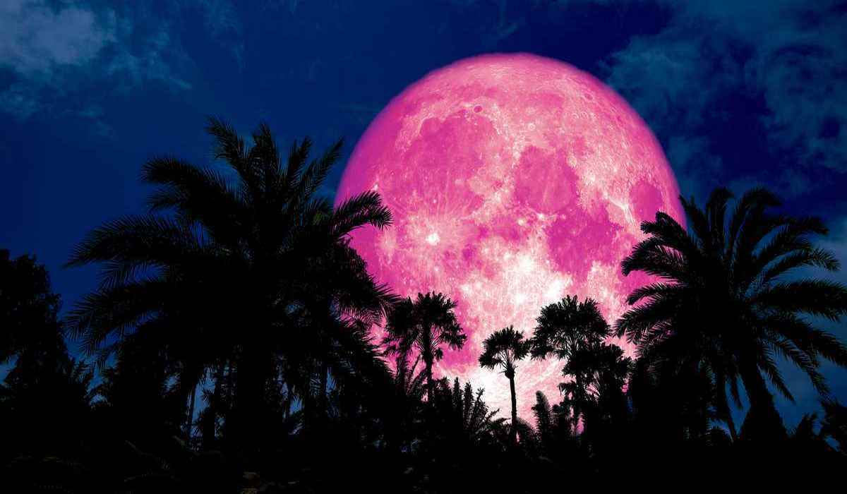 Read more about the article The Full Pink Moon in Libra on April 19th will Bring Renewal to Your Life