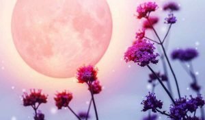 How the Full Moon of May 2019 will Affect You, According to Your Zodiac Sign