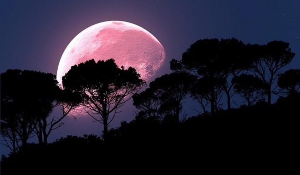 The Strawberry Full Moon on June 17 will Bring Major Energy Change