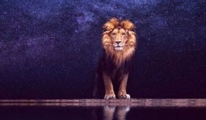 6 Zodiac Signs that the 2019 Leo Season Will Affect the Most