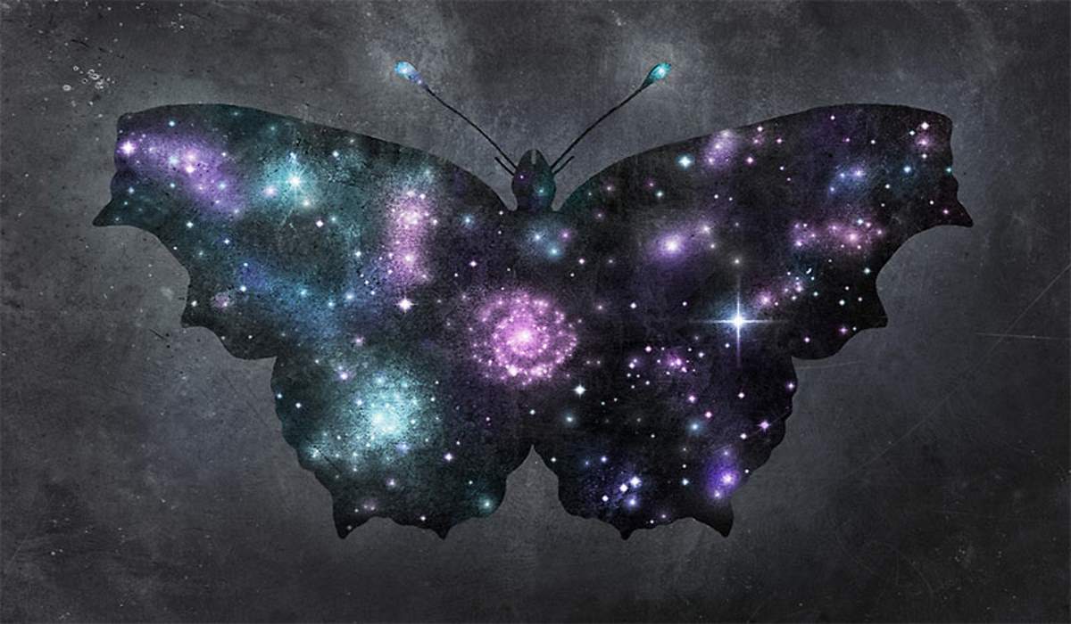 What Is the Spiritual Meaning of the Butterflies that Cross Our Path?