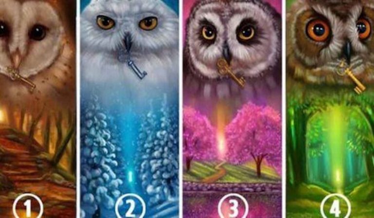 Choose an Owl and Reveal Hidden Things About Your Personality and Your ...