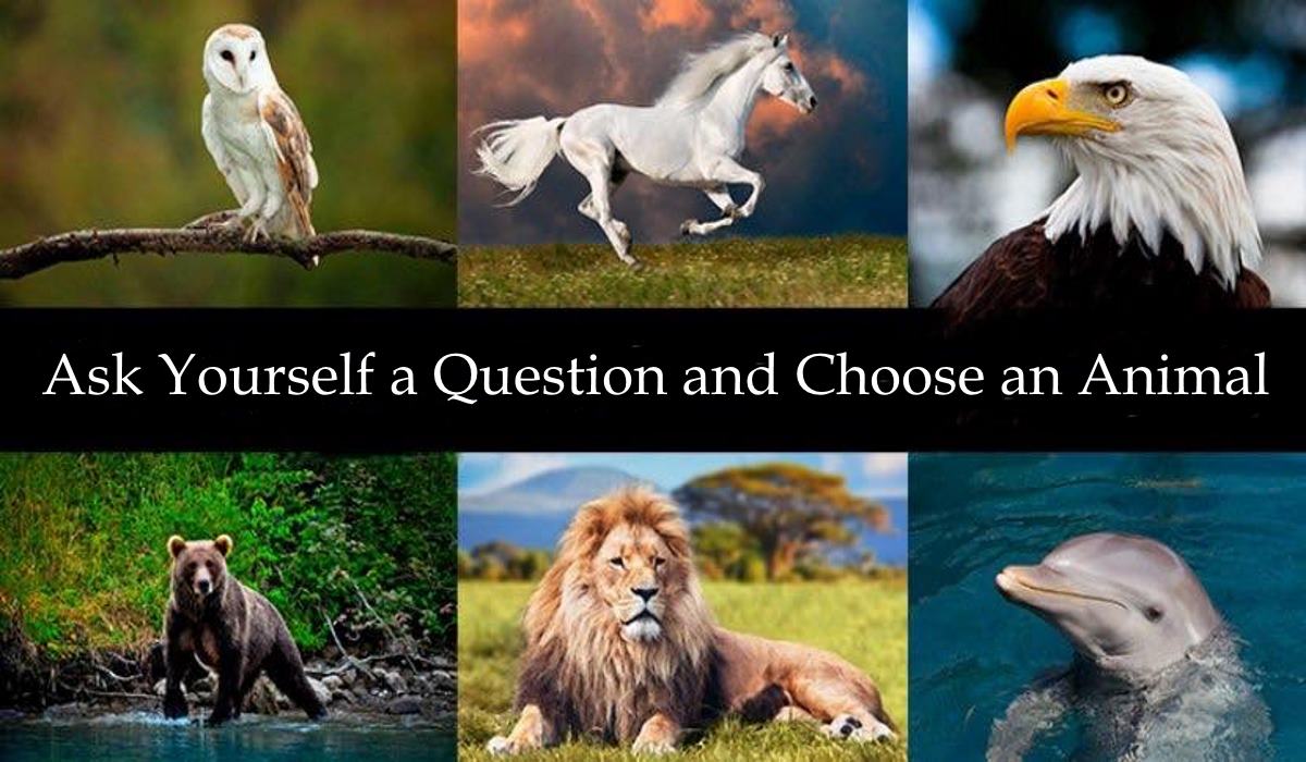 You are currently viewing Ask Yourself a Question and Choose an Animal – It Will Give You the Answer You are Looking for