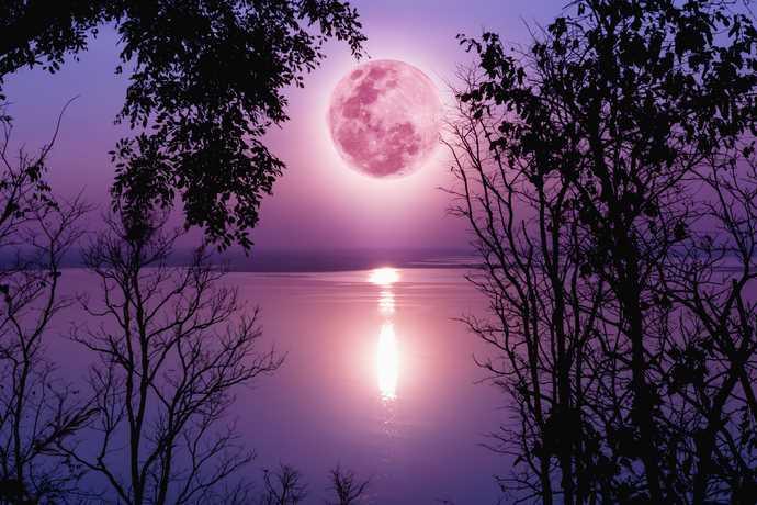 The pink moon