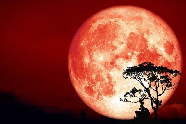 The Full Moon in Aries on October 13, 2019, Will Bring Life-changing Opportunities