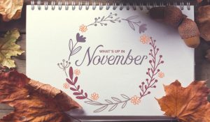 What Each Zodiac Sign Will Learn in November 2019