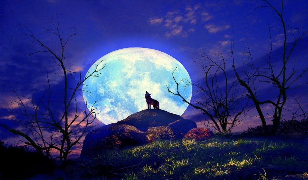 You are currently viewing Tomorrow’s Full Wolf Moon / Lunar Eclipse – Allow the Universe to Guide You
