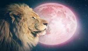 Full Moon in Leo on February 9, 2020 – Embrace the Path You were Meant to Travel