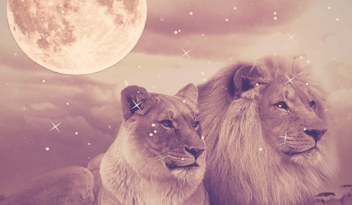You are currently viewing Tomorrow’s Full Moon in Leo – Will Give Us the Boost We so Badly Want