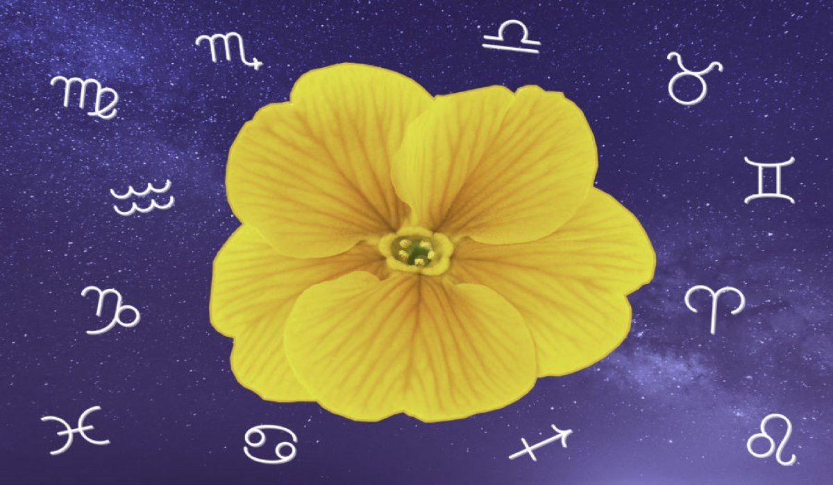 You are currently viewing How the Start of Spring 2020 Will Affect Your Zodiac Sign