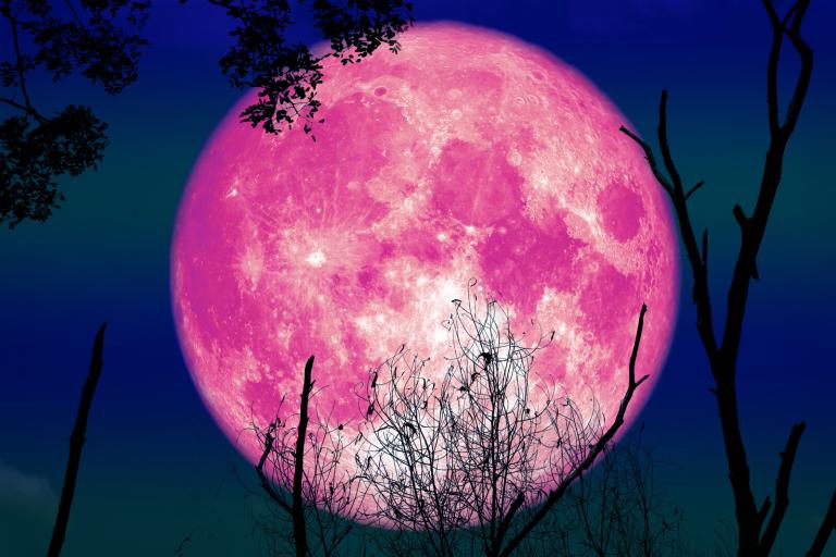 Tonight's Pink Full Moon in Libra Brings Major Energetic Shift And