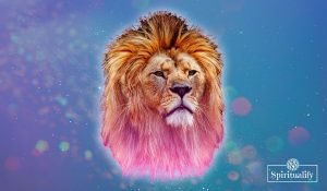 These 3 Zodiac Signs Will Have a Challenging Leo Season 2020
