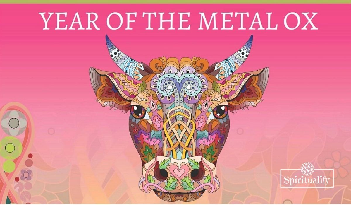 Chinese New Year Starts on February 12th. The Year of the Metal Ox