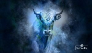 These 3 Zodiac Signs Will Have a Challenging New Moon in Taurus May 2021