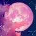 How the New Moon July 2020 Will Affect You, According to Your Zodiac Sign